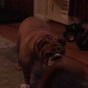 Meet your Posher, Dean